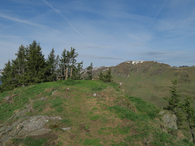 Hasenauer Köpfl, 1.790 m (27. Mai)