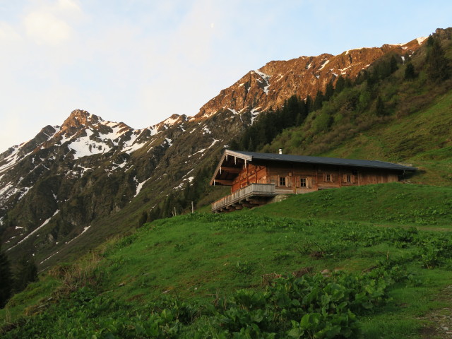 zwischen Schlichtenalm und Auf der Schütz (28. Mai)