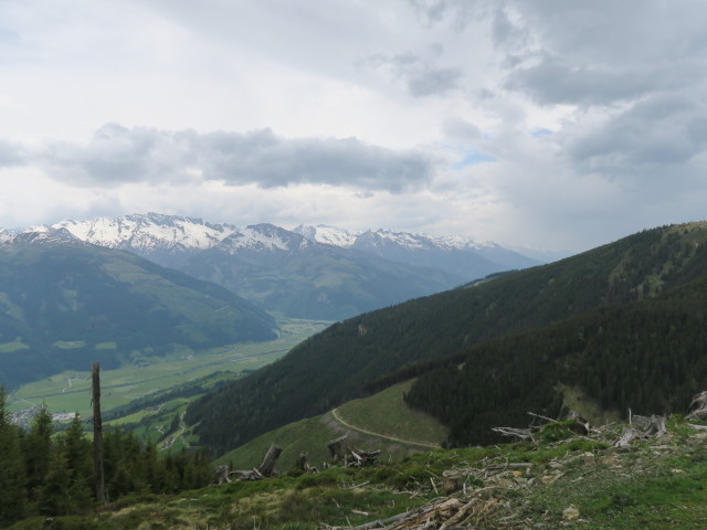 vom Steinbachriedel Richtung Südwesten (29. Mai)