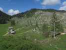 Dürrensteinalm (10. Juni)