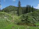 zwischen Ybbstaler Hütte und Noten (10. Juni)