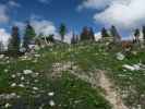 zwischen Ybbstaler Hütte und Noten (10. Juni)