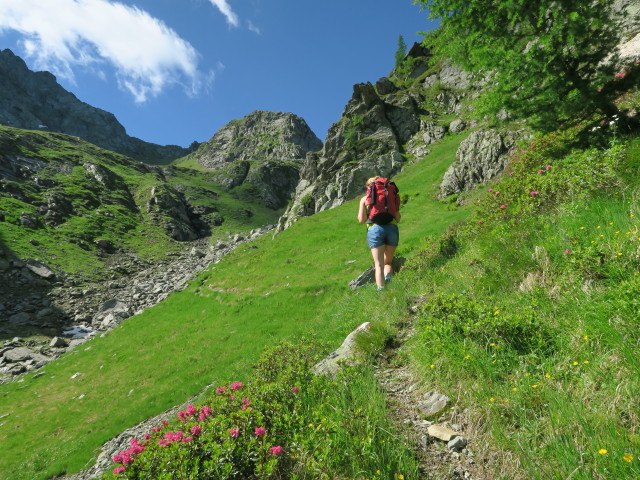 Evelyn am Weg 445 zwischen Karnischem Höhenweg und Schönjöchl