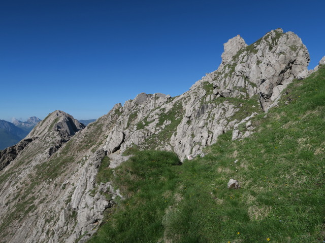 Dreitörlweg zwischen Leitentörl und Baumgartentörl (10. Juli)