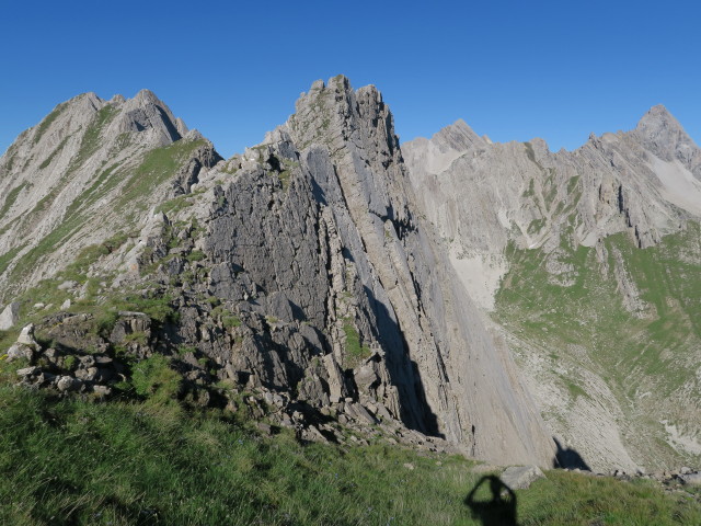 Dreitörlweg zwischen Leitentörl und Baumgartentörl (10. Juli)