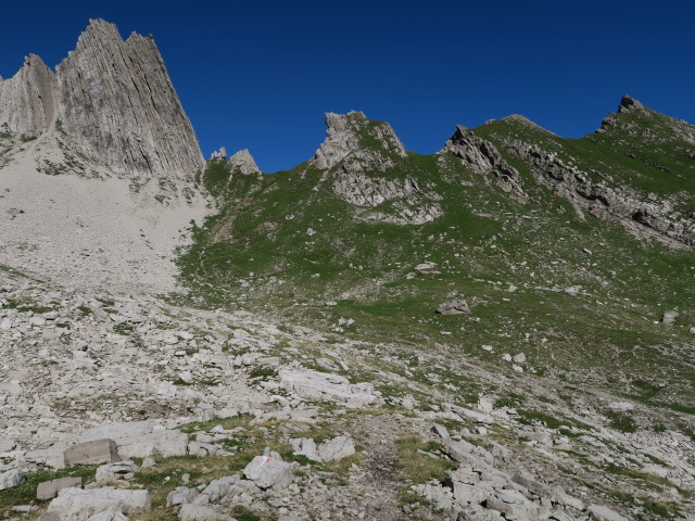 Dreitörlweg zwischen Baumgartentörl und Kuhleitentörl (10. Juli)