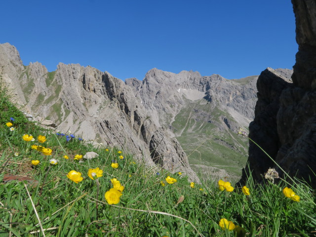 Kuhleitentörl, 2.295 m (10. Juli)