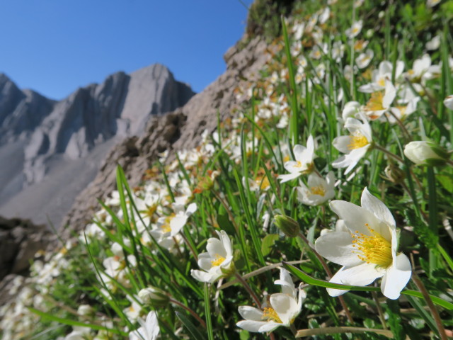 Kuhleitentörl, 2.295 m (10. Juli)