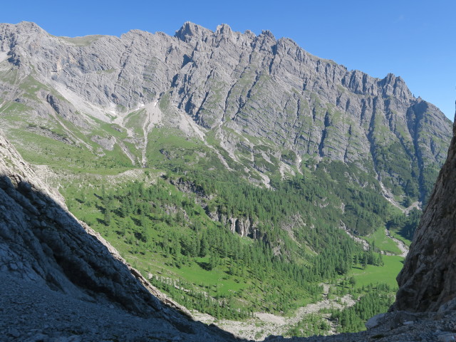 Lavanter Alm vom Dreitörlweg aus (10. Juli)
