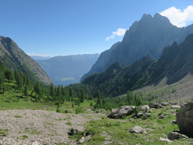 Lavanter Alm vom Dreitörlweg aus (10. Juli)