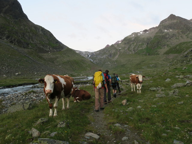Jörg, Thorsten, Dirk und Klaus am Weg 131 zwischen Höllenrachen und Berglastal (30. Juli)