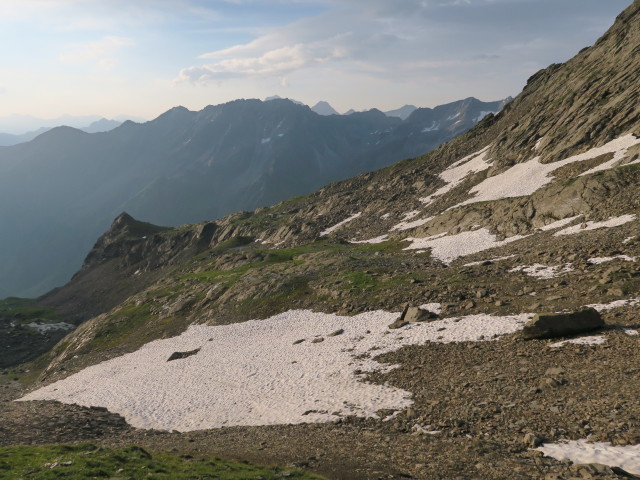 neben Weg 132 zwischen Mauernleger und Großem Horntaler Joch (31. Juli)