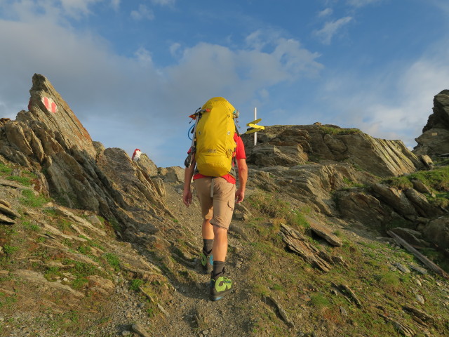Jörg am Großen Horntaler Joch, 2.812 m (31. Juli)