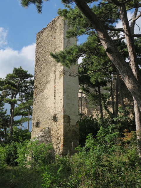 Ruine Burg Mödling
