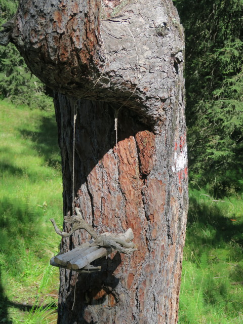 zwischen Prodingerhütte und Gasthaus Ludlalm (20. Aug.)