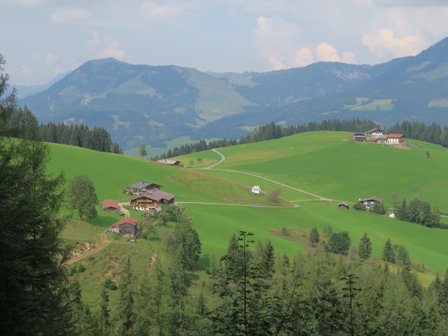 Rohr (11. Sept.)