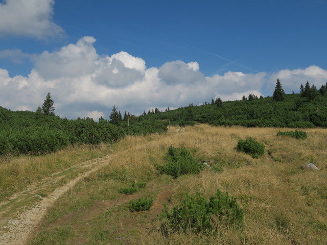 Seeweg zwischen Otto-Schutzhaus und Grünschacher