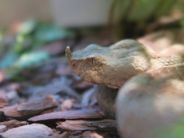 Reptilienzoo
