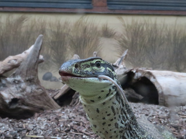 Reptilienzoo