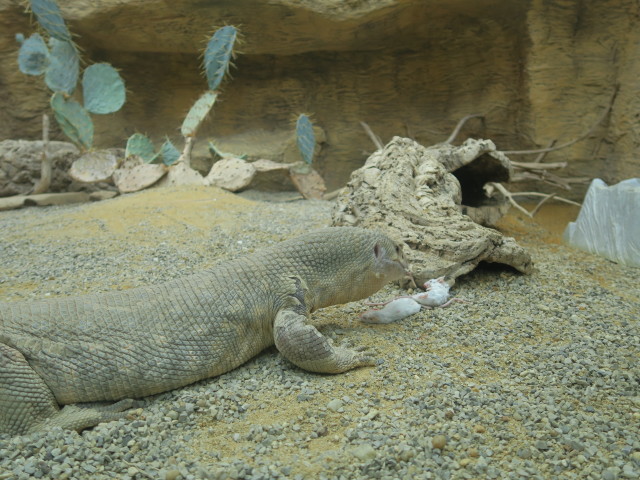 Reptilienzoo