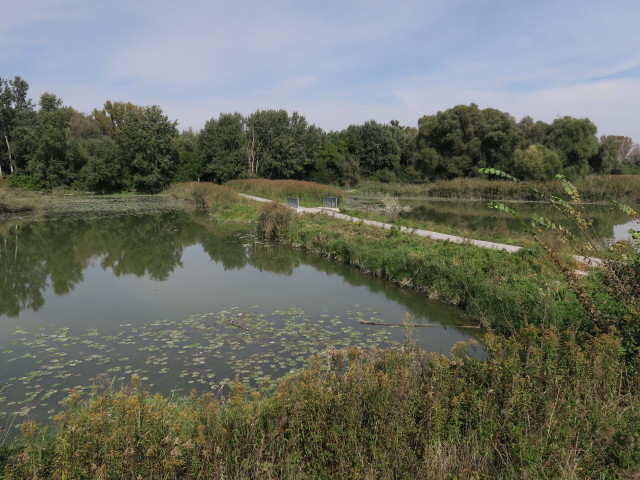 Kühwörter Wasser