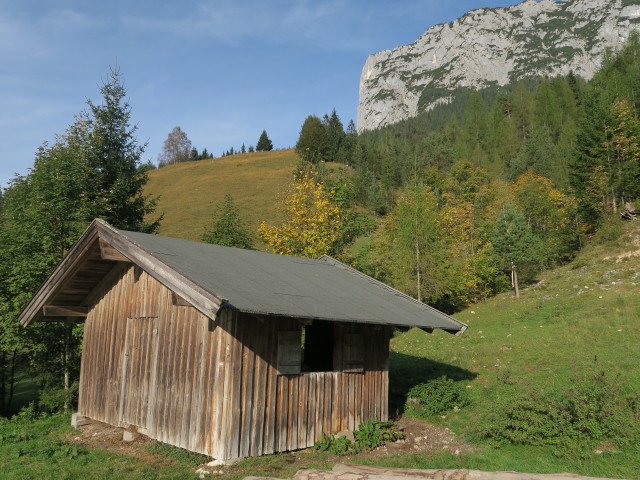 zwischen Jagdhütte Daxstein und Obermayrberg (1. Okt.)