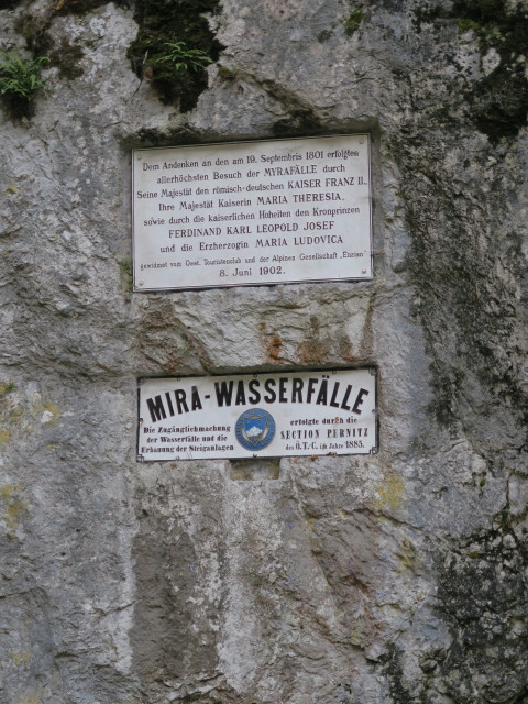 Myrafälle