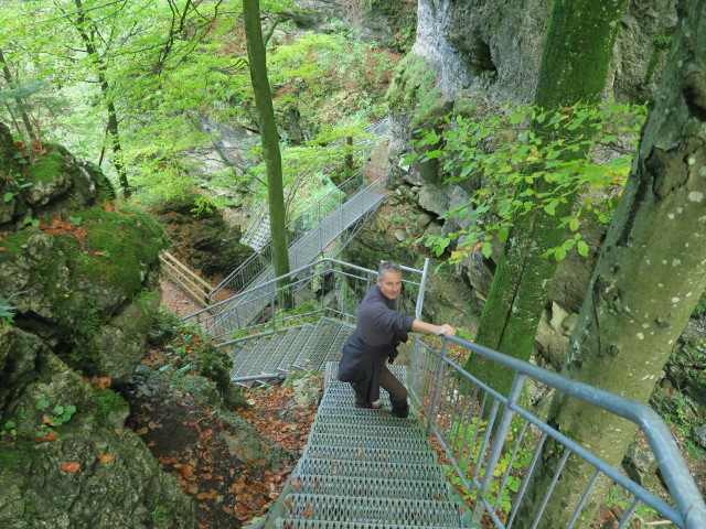Erich am Ötscherrundweg zwischen Ötscher-Tropfsteinhöhle und Schindlhütte