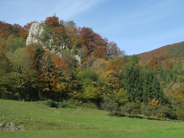 neben Weg 480 in Trattenbach