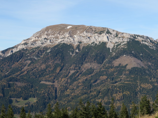 Heukuppe