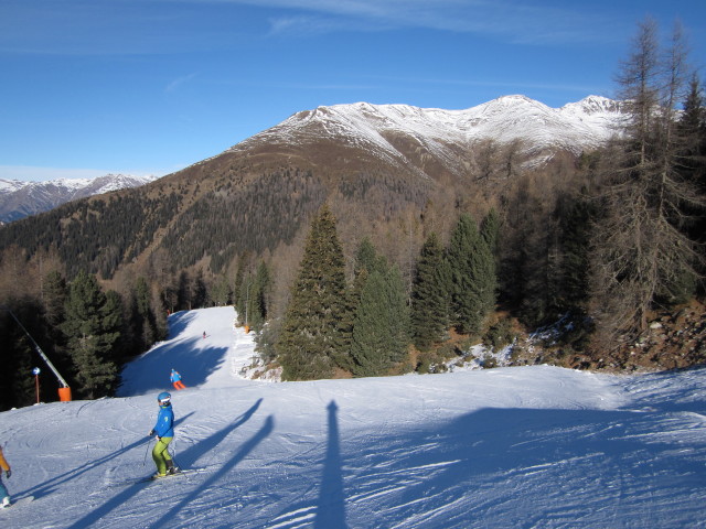 Waldabfahrt