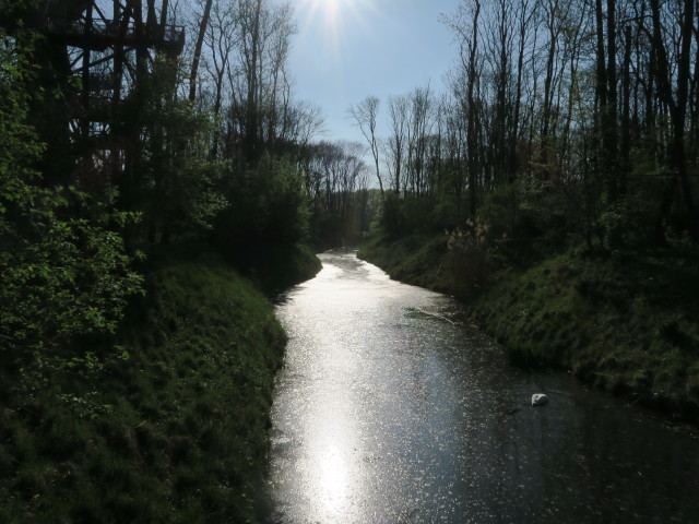 Waldgarten