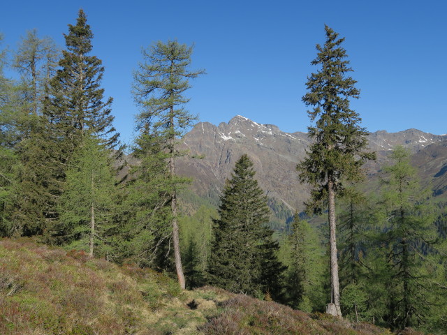 Scharnik (27. Mai)