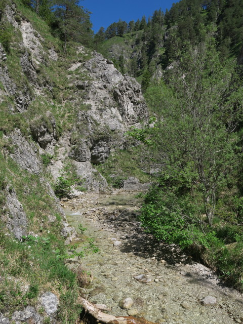 Moißengraben