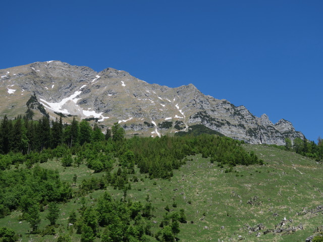 Rauer Kamm