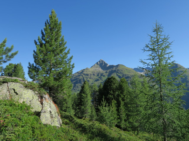 Panargenkamm