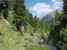 Weg 16 zwischen Möslboden und Schafalm (22. Juli)