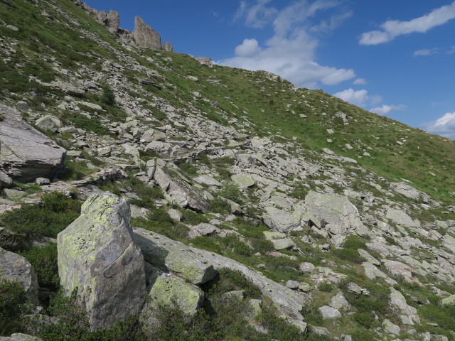 Kellerbauer Höhenweg zwischen Wurmtaler Jöchl und Lappacher Jöchl (4. Aug.)