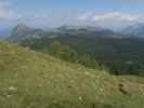 neben Weg 150 zwischen Lienbachhütte und Labenberg (23. Sep.)