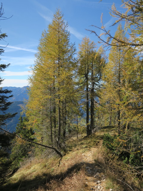 Weg 229 zwischen Golz und Sattelköpfe