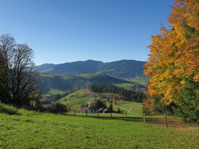Bliem (15. Okt.)