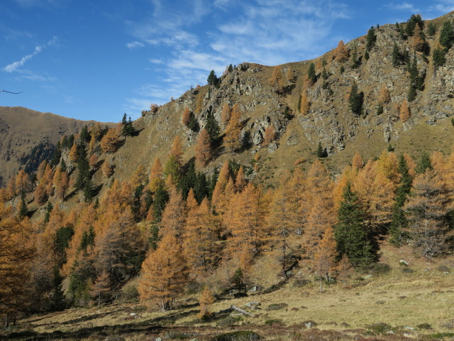 Weg 13 zwischen Gosorn und Thomelehütte
