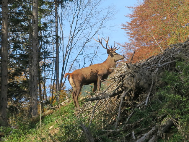 Wegscheidgraben