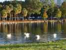 Lake Eola Park in Orlando (5. Nov.)