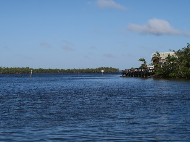 Chokoloskee Bay (14. Nov.)
