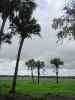 Myakka River State Park (12. Nov.)