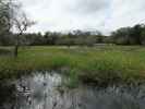 Myakka River State Park (12. Nov.)