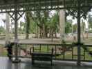 Edison-Haupthaus in Edison and Ford Winter Estates in Fort Myers (12. Nov.)