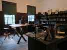 Edison's botanisches Forschungslabor in Edison and Ford Winter Estates in Fort Myers (12. Nov.)