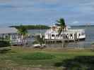 Lady Chadwick auf Cabbage Key (13. Nov.)